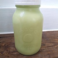 milky oats tincture - highest latex artisanal formula