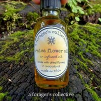 arnica montana oil - dried flower herbal infusion