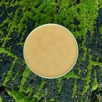 muscle & joint salve - for pain and nourishment