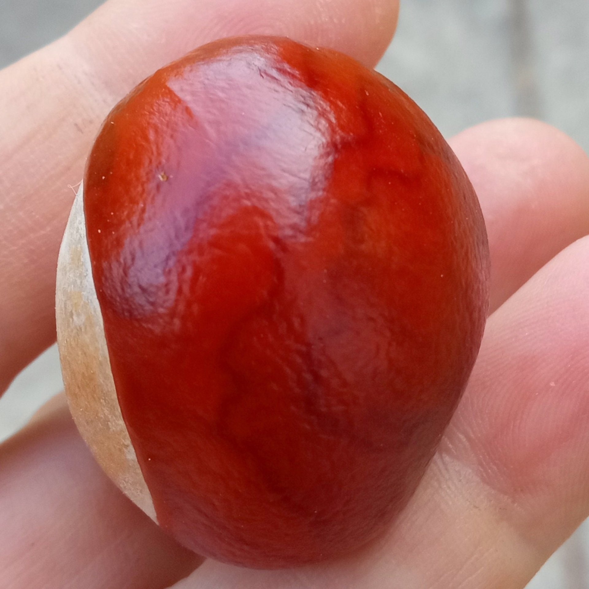 horse chestnut oil - fresh & high quality serum