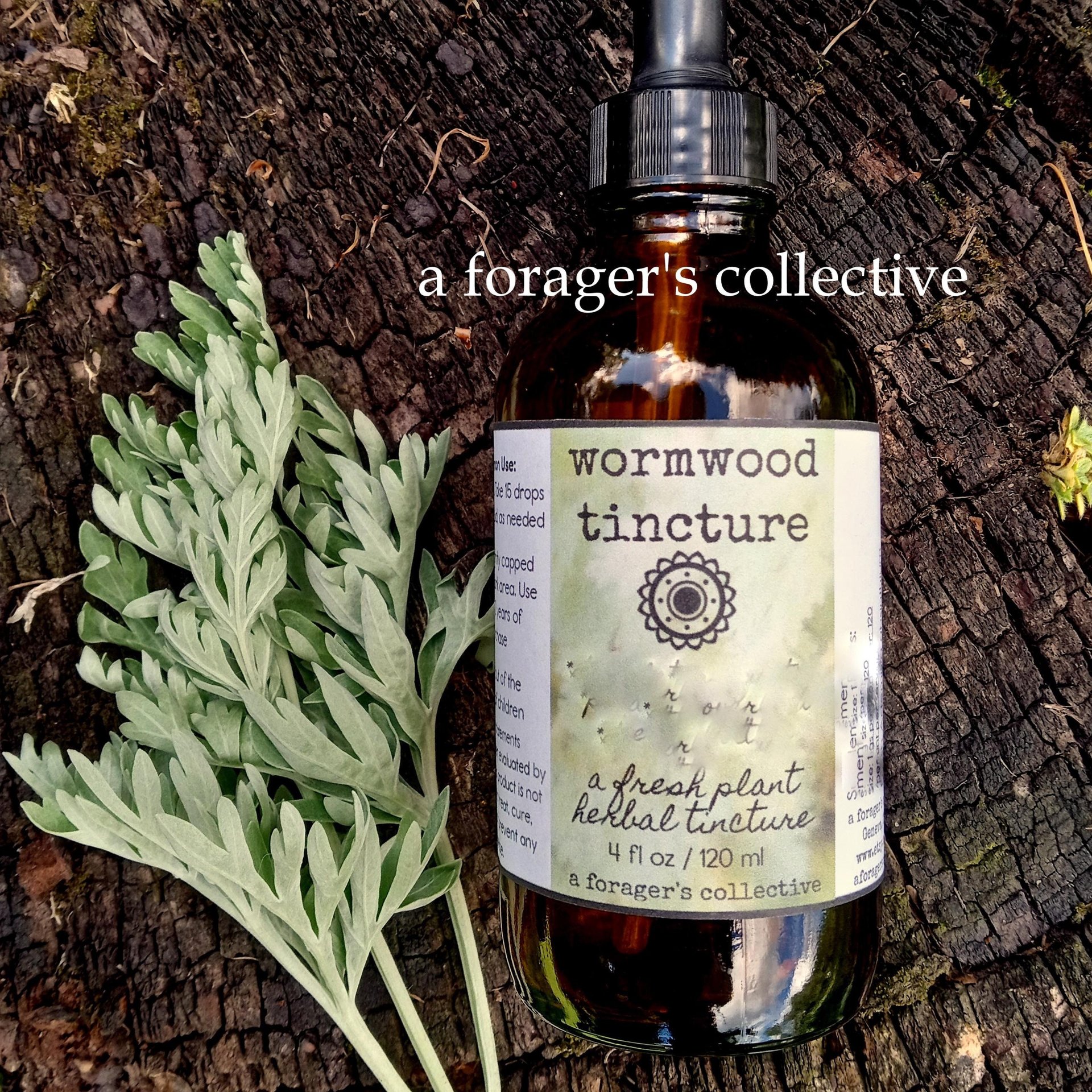 wormwood tincture - artemisia absinthium extract