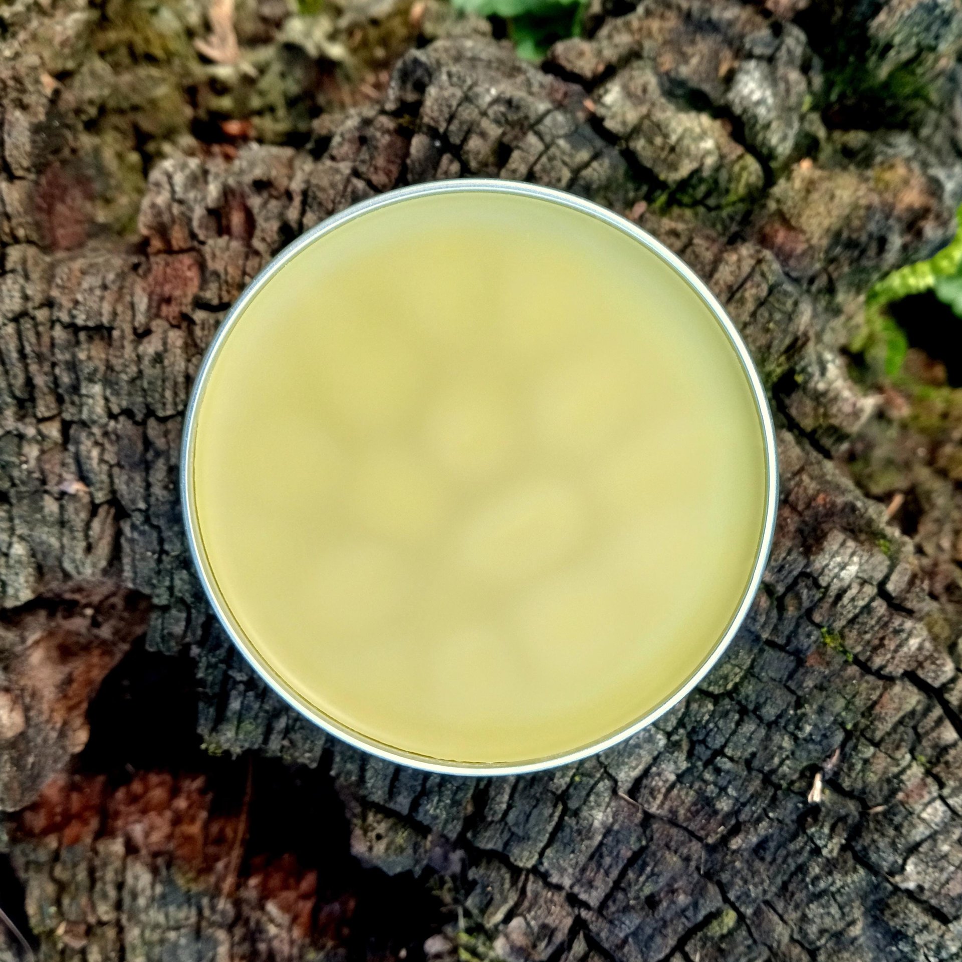 bruise balm - herbal ointment