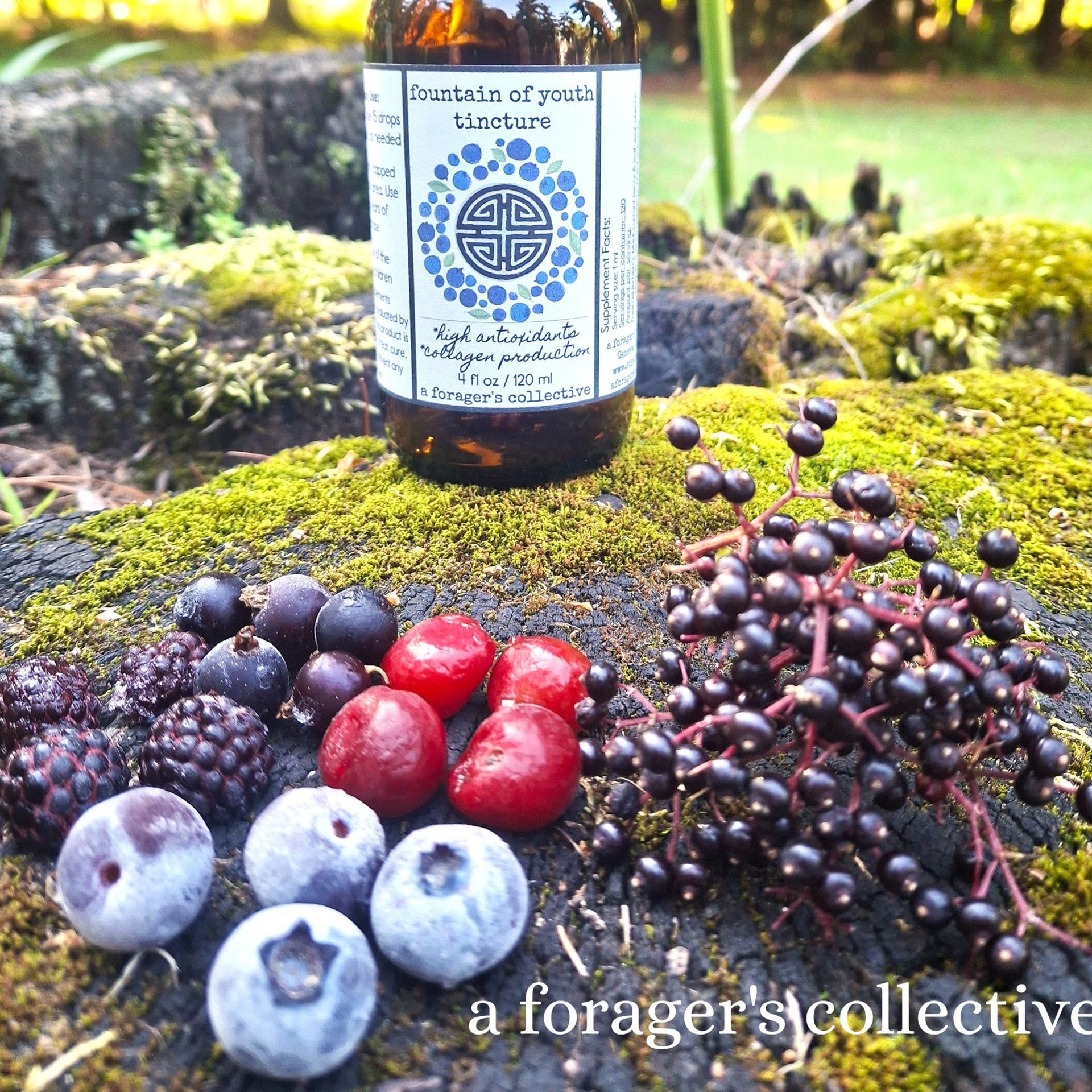 fountain of youth tincture - dark berry w/pine pollen