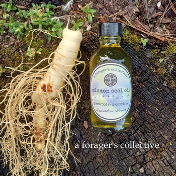 solomon seal oil , infused botanical , polygonatum biflorum