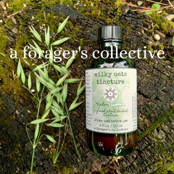 milky oats tincture - highest latex artisanal formula