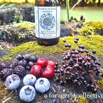 fountain of youth tincture - dark berry w/pine pollen