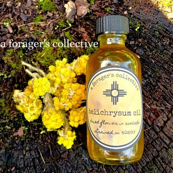 helichrysum oil - immortelle flower herbal infusion