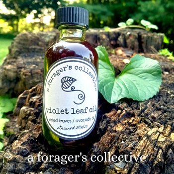 violet oil - viola sororia  - dried leaf infusion